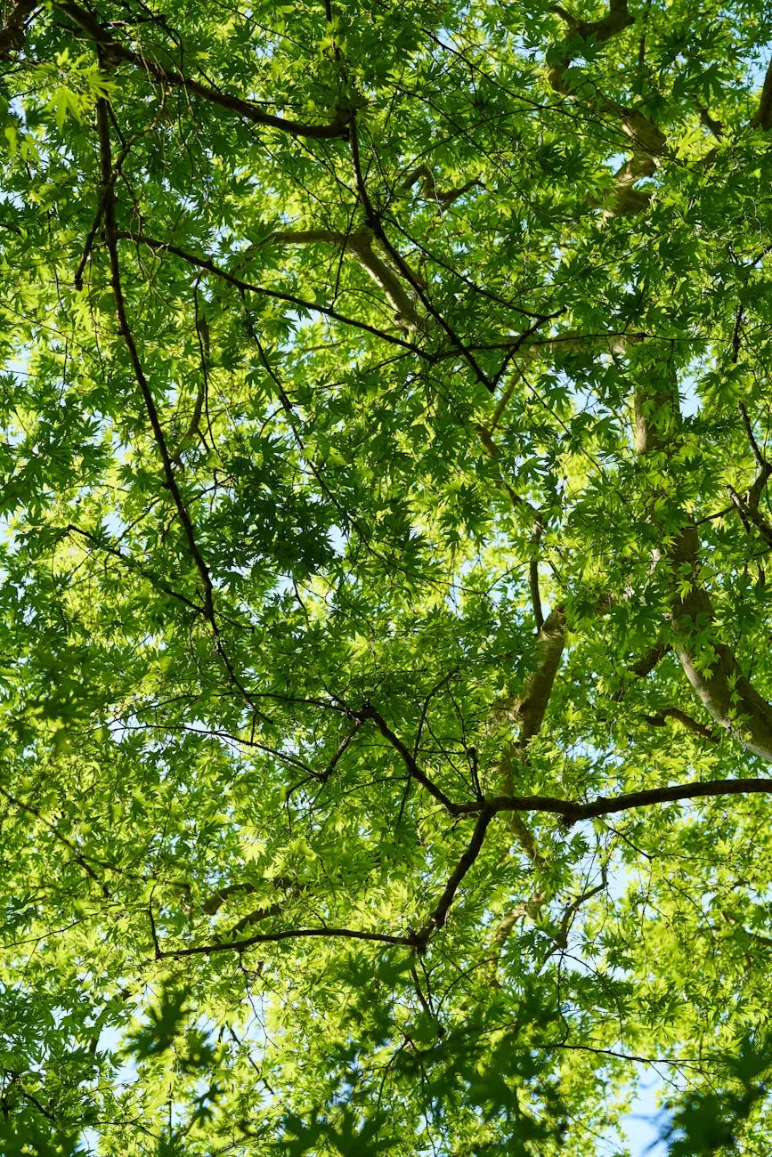 Por qué hacer actividades al aire libre mejora tu bienestar